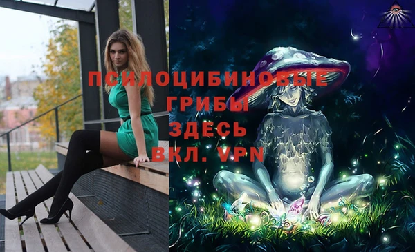 гашиш Михайлов