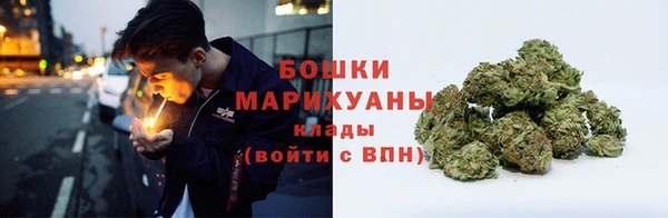 трава Наволоки