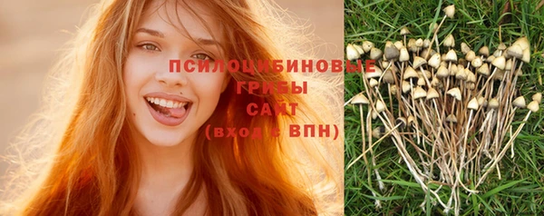 трава Наволоки