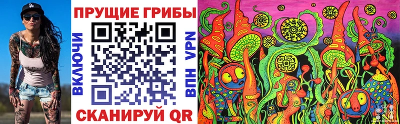Купить  Стародуб  Галлюциногенные грибы Magic Shrooms 