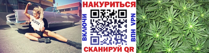 Бошки Шишки гибрид Стародуб